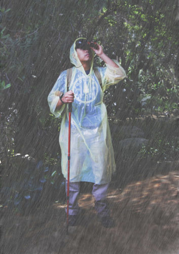 Emergency Hooded Rain